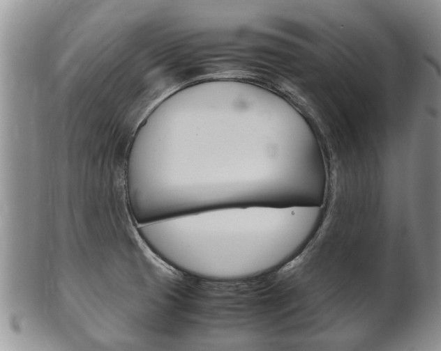 X0000102511425200808080957
