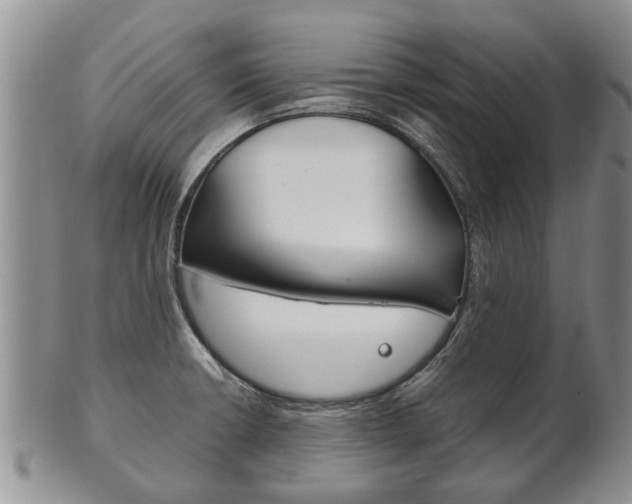 X0000102511426200808080957