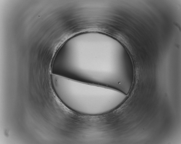 X0000102511428200808080957
