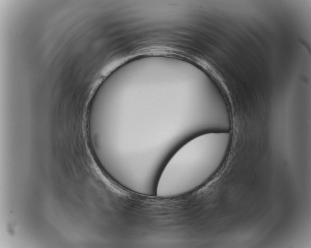 X0000102511429200808080957