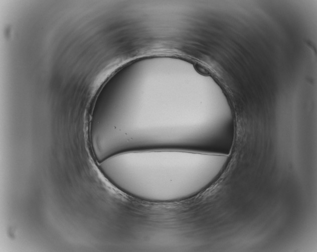X0000102511430200808080957