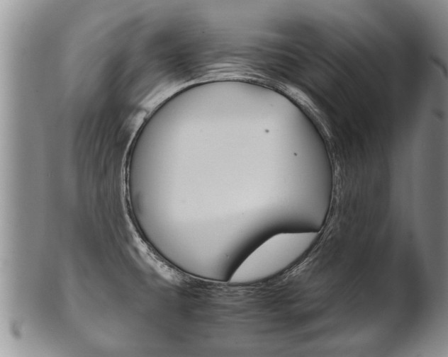 X0000102511431200808080957