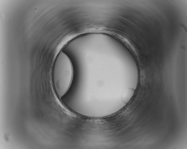 X0000102511432200808080957