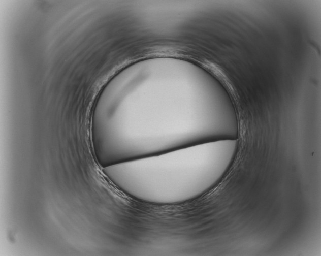 X0000102511435200808080957