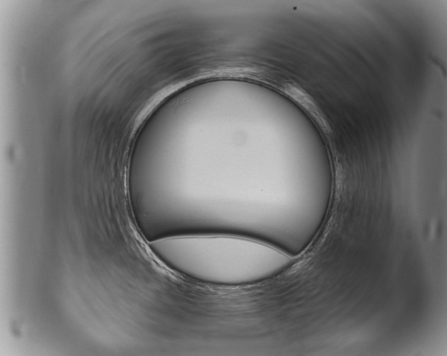 X0000102511436200808080957