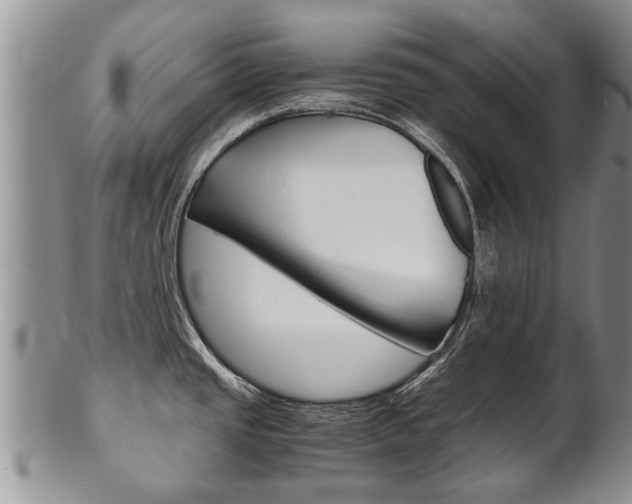 X0000102511437200808080957