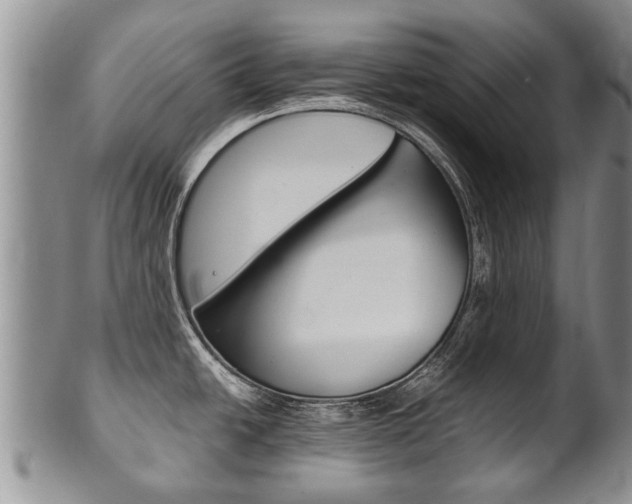 X0000102511438200808080957