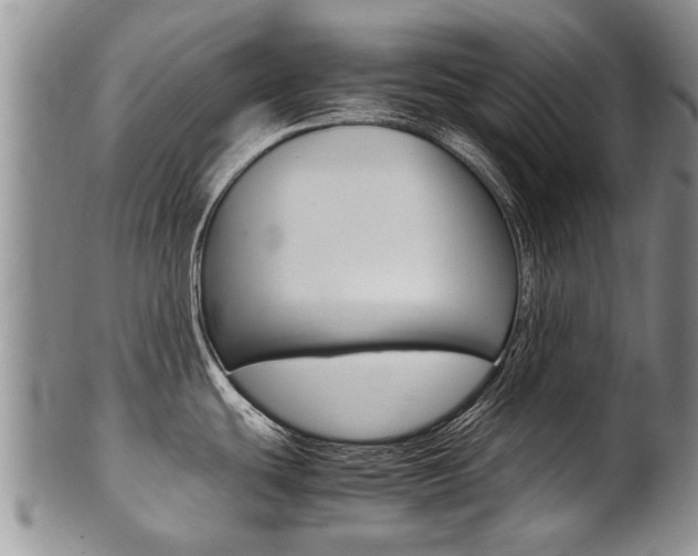 X0000102511439200808080957