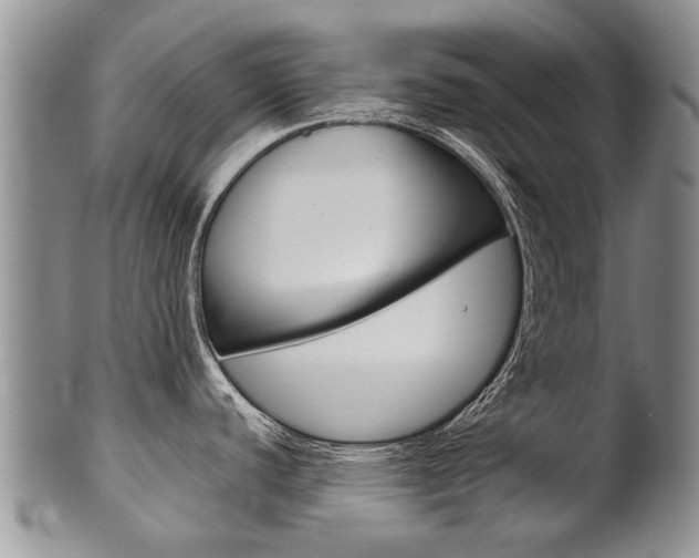 X0000102511440200808080957