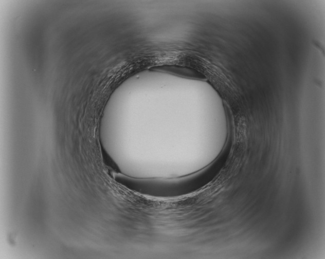 X0000102511441200808080956
