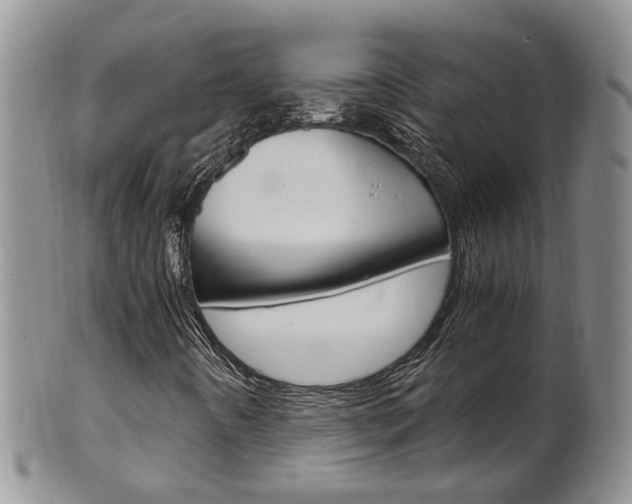X0000102511442200808080956