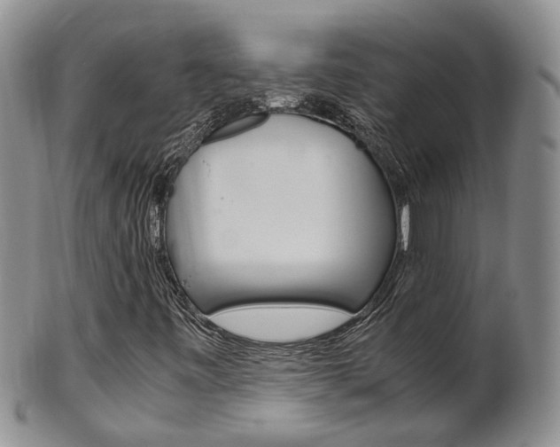 X0000102511443200808080956