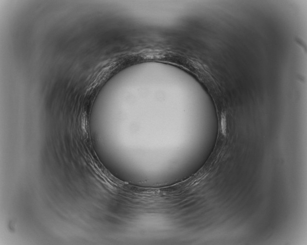 X0000102511444200808080956