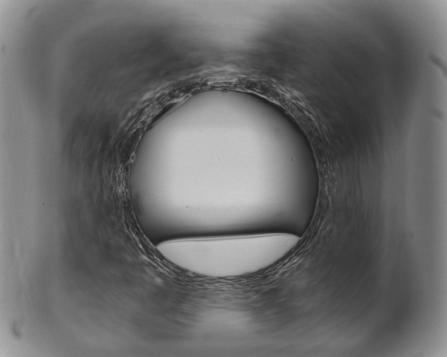 X0000102511445200808080956