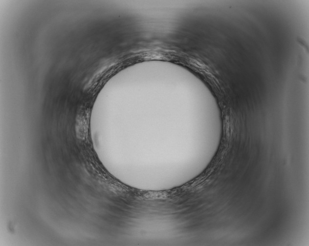 X0000102511446200808080956