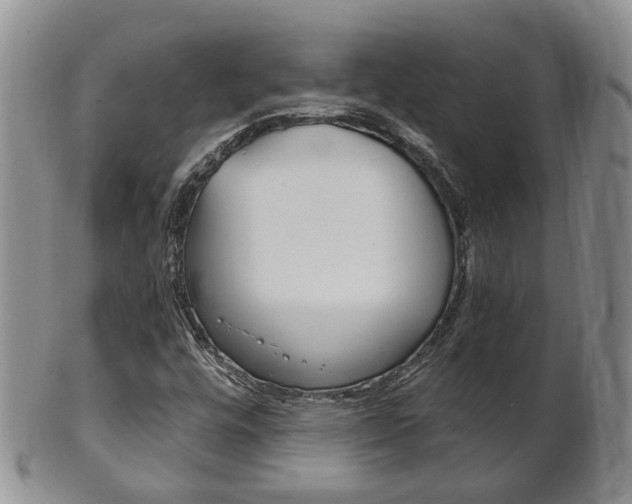 X0000102511448200808080956