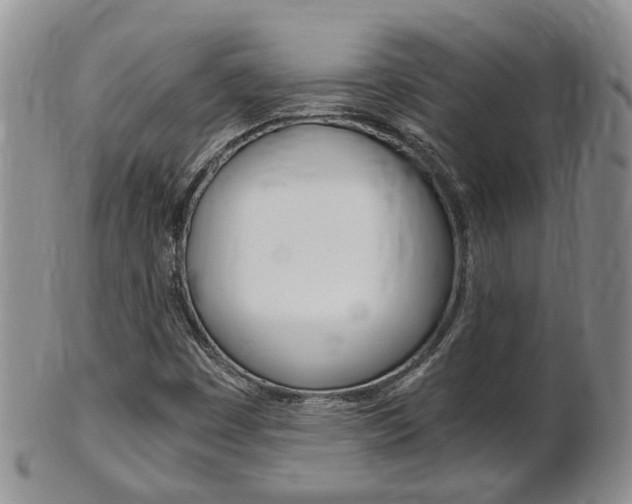 X0000102511449200808080956