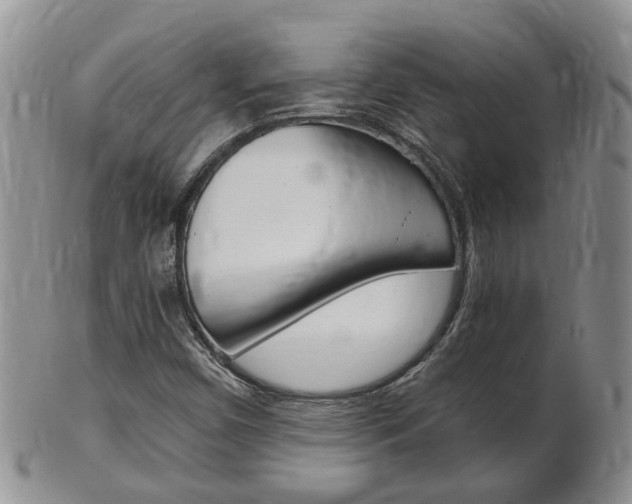 X0000102511450200808080956