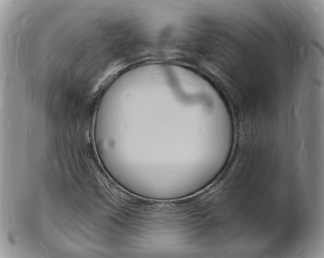 X0000102511451200808080956