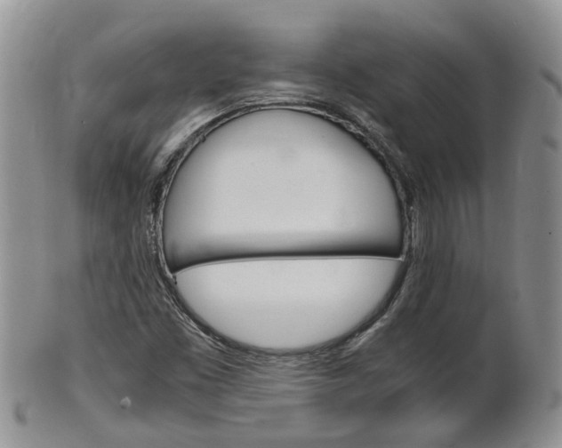 X0000102511453200808080956
