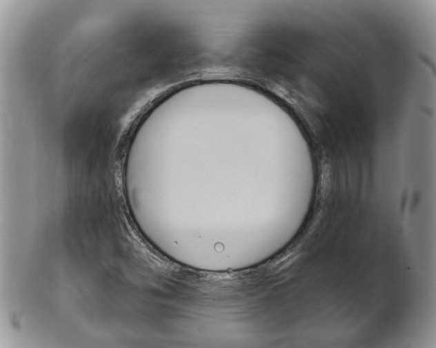 X0000102511454200808080956