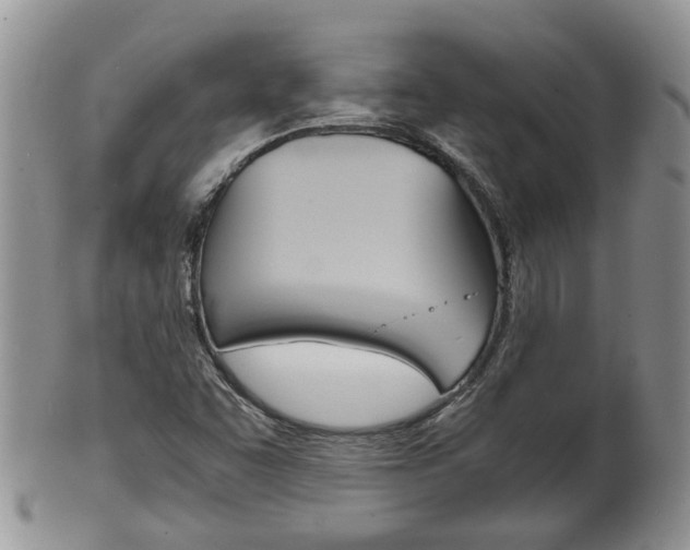 X0000102511455200808080956