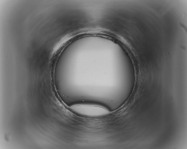 X0000102511456200808080956