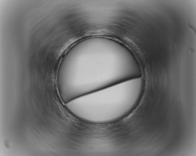 X0000102511457200808080956