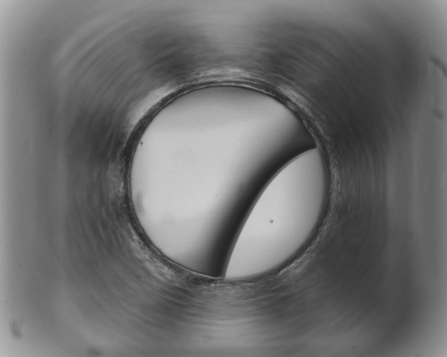 X0000102511458200808080956