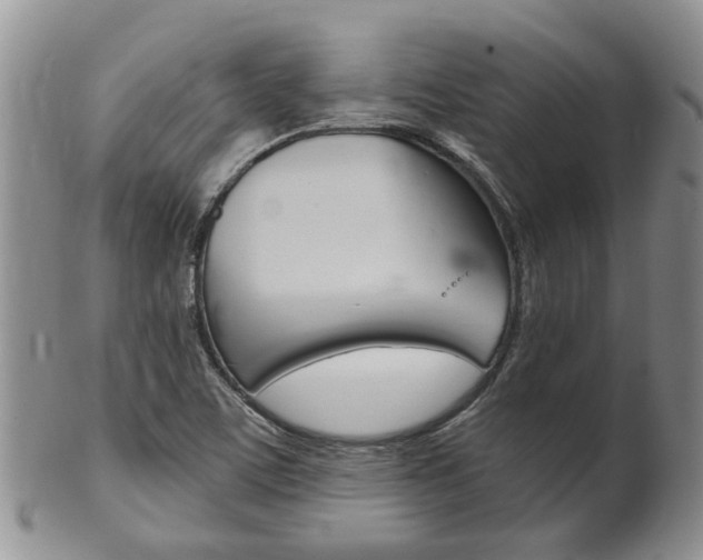 X0000102511459200808080956