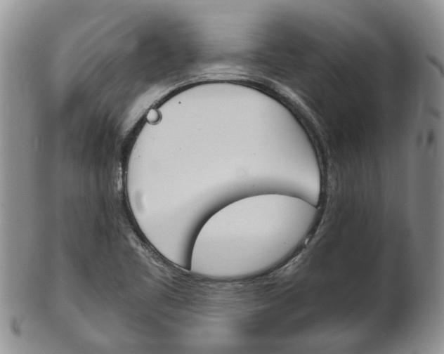 X0000102511461200808080956