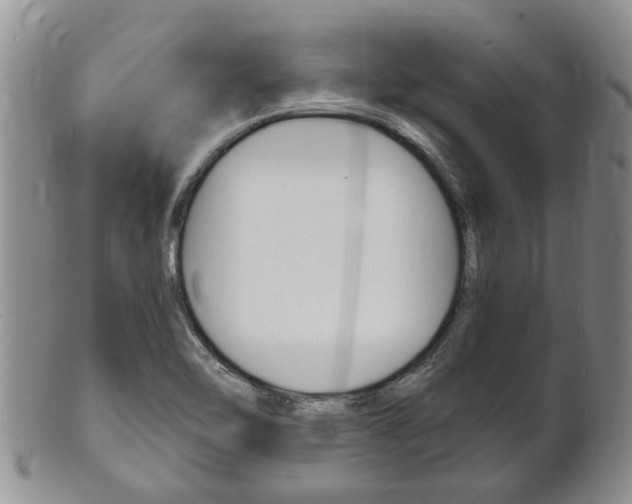 X0000102511462200808080956