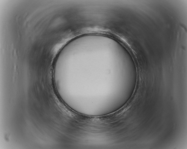 X0000102511463200808080956