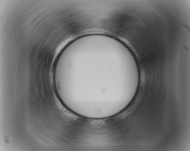 X0000102511466200808080956