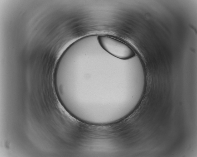 X0000102511468200808080956