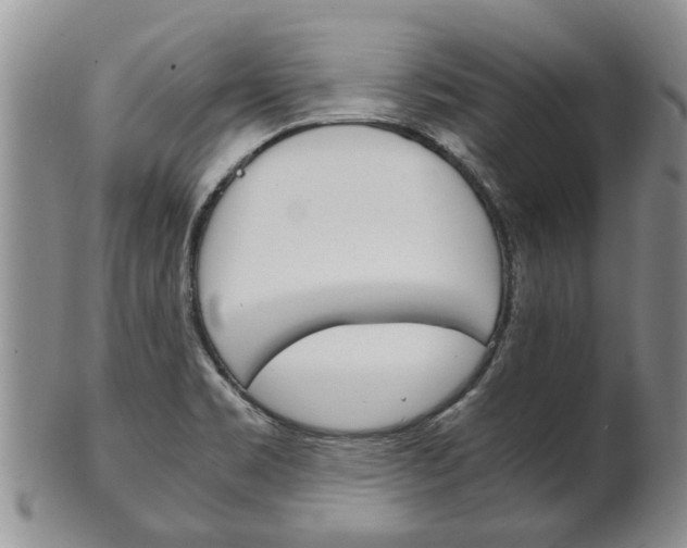 X0000102511469200808080956