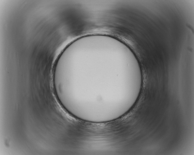 X0000102511470200808080956