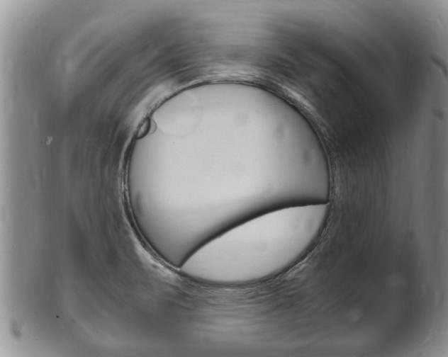 X0000102511471200808080956