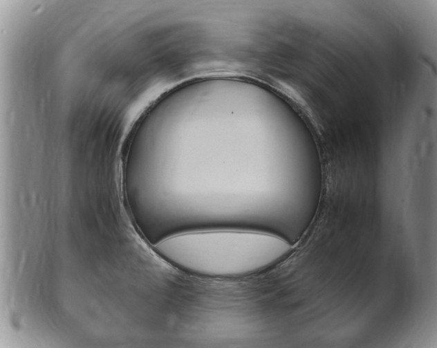 X0000102511472200808080956