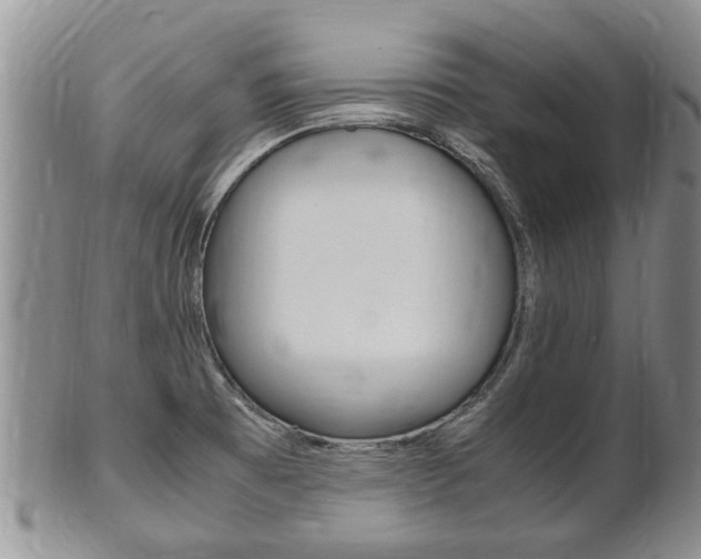 X0000102511473200808080956
