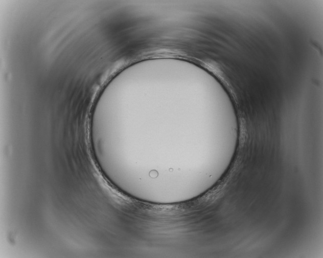 X0000102511474200808080956