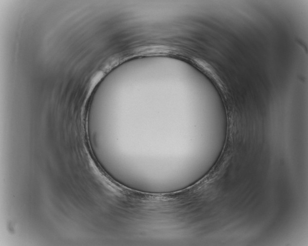 X0000102511475200808080956