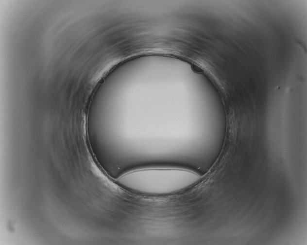 X0000102511476200808080956