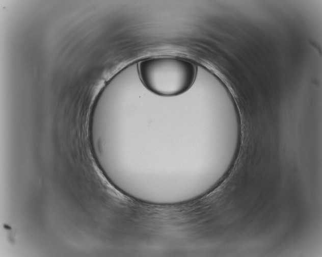 X0000102511477200808080956