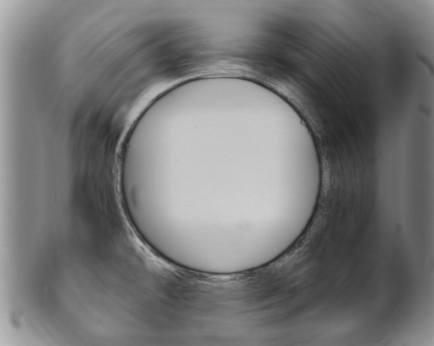 X0000102511478200808080956