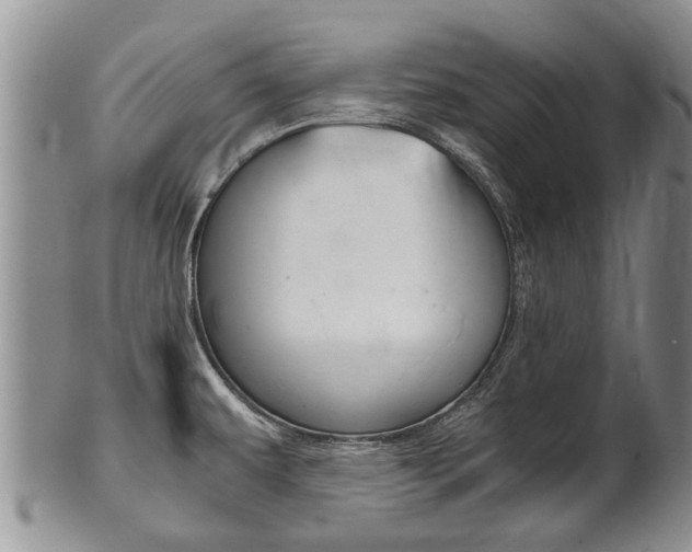 X0000102511479200808080956