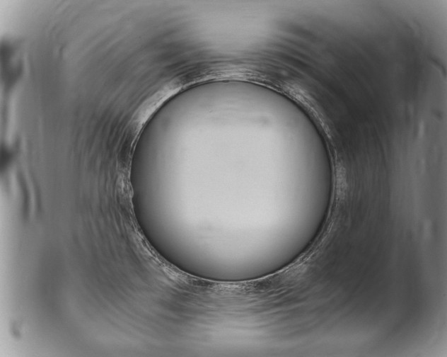 X0000102511481200808080956