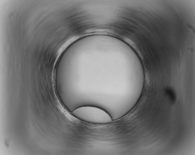 X0000102511482200808080956