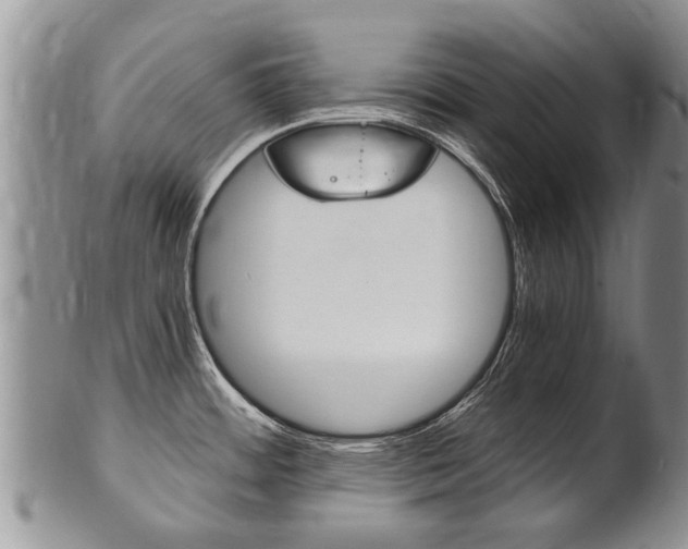 X0000102511484200808080956