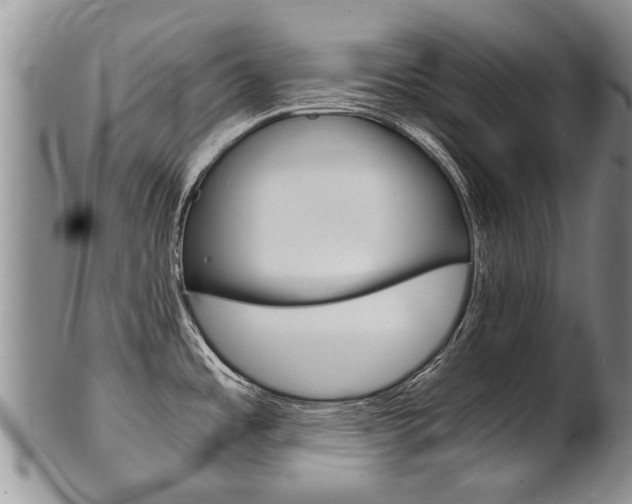 X0000102511485200808080956